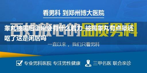 睾丸被踢后凄婉会有什么着力_被踢睾丸有点晕还呕了这是闲居吗